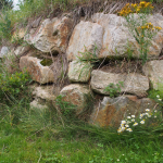  <br><a href='../html/img/pool/garten2.jpg' target='_blank'>Vollbild anzeigen</a>